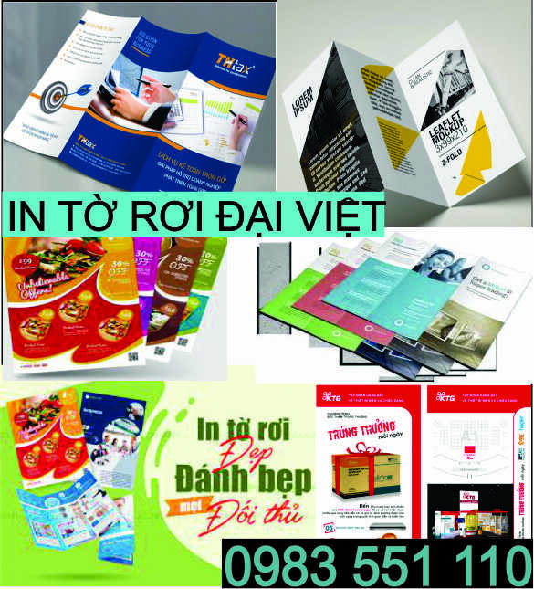 Thiết kế in catalogue in brochure in tờ rơi Sơn Tr&agrave;