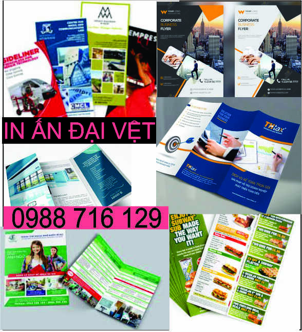 Thiết kế in catalogue in brochure in tờ rơi Sơn Tr&agrave;